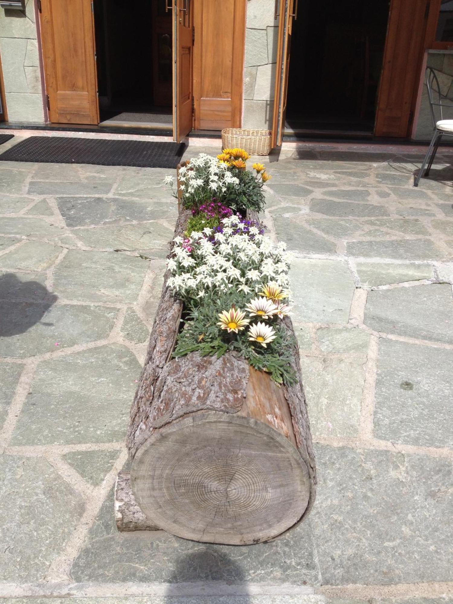 Albergo Soldanella Madesimo Exterior foto